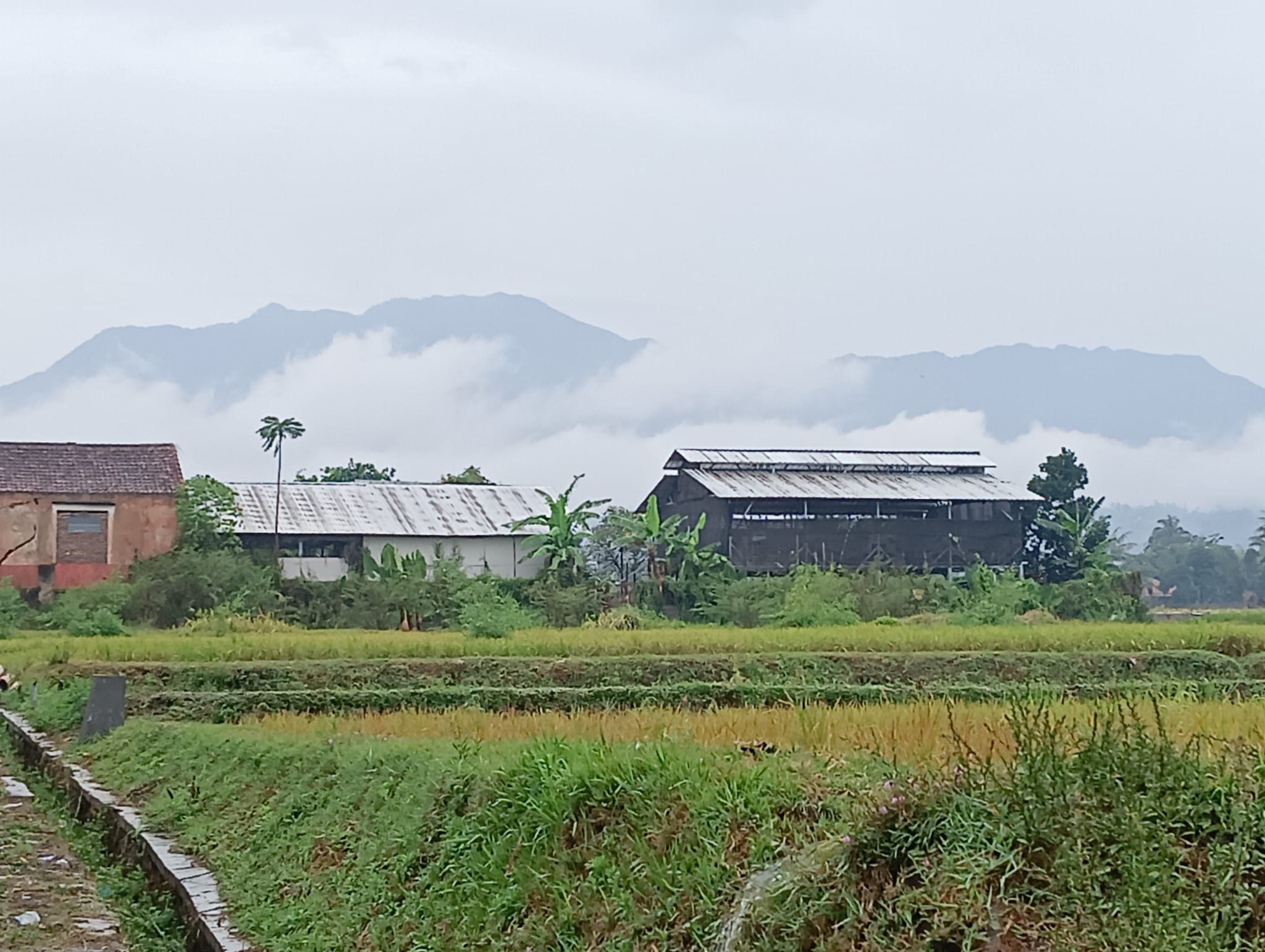 upcoming-events-img-1