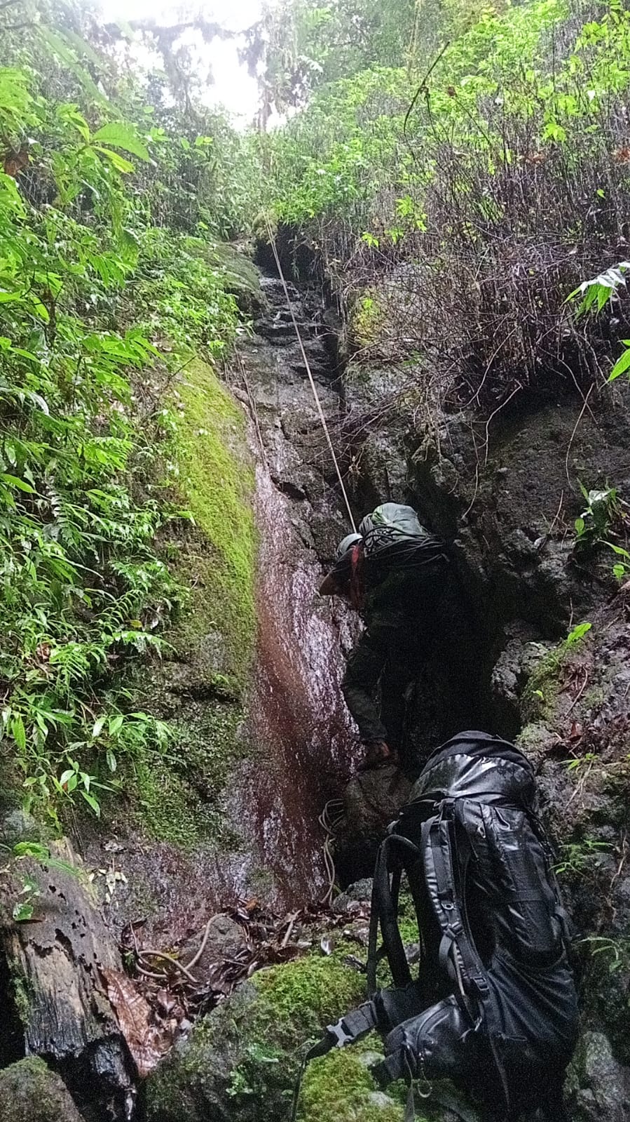 recent-project-img-1