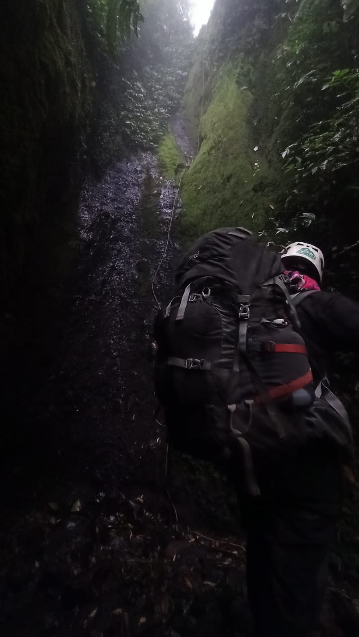 recent-project-img-1